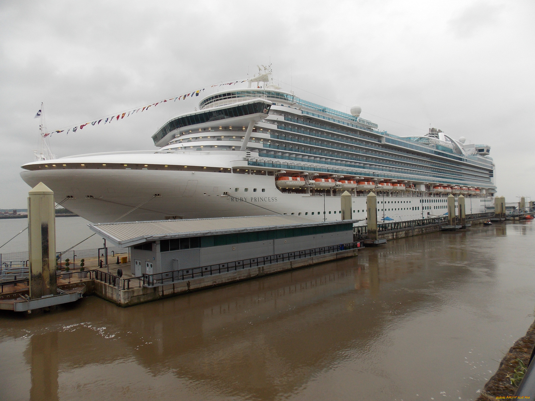 ruby princess, , , , 
